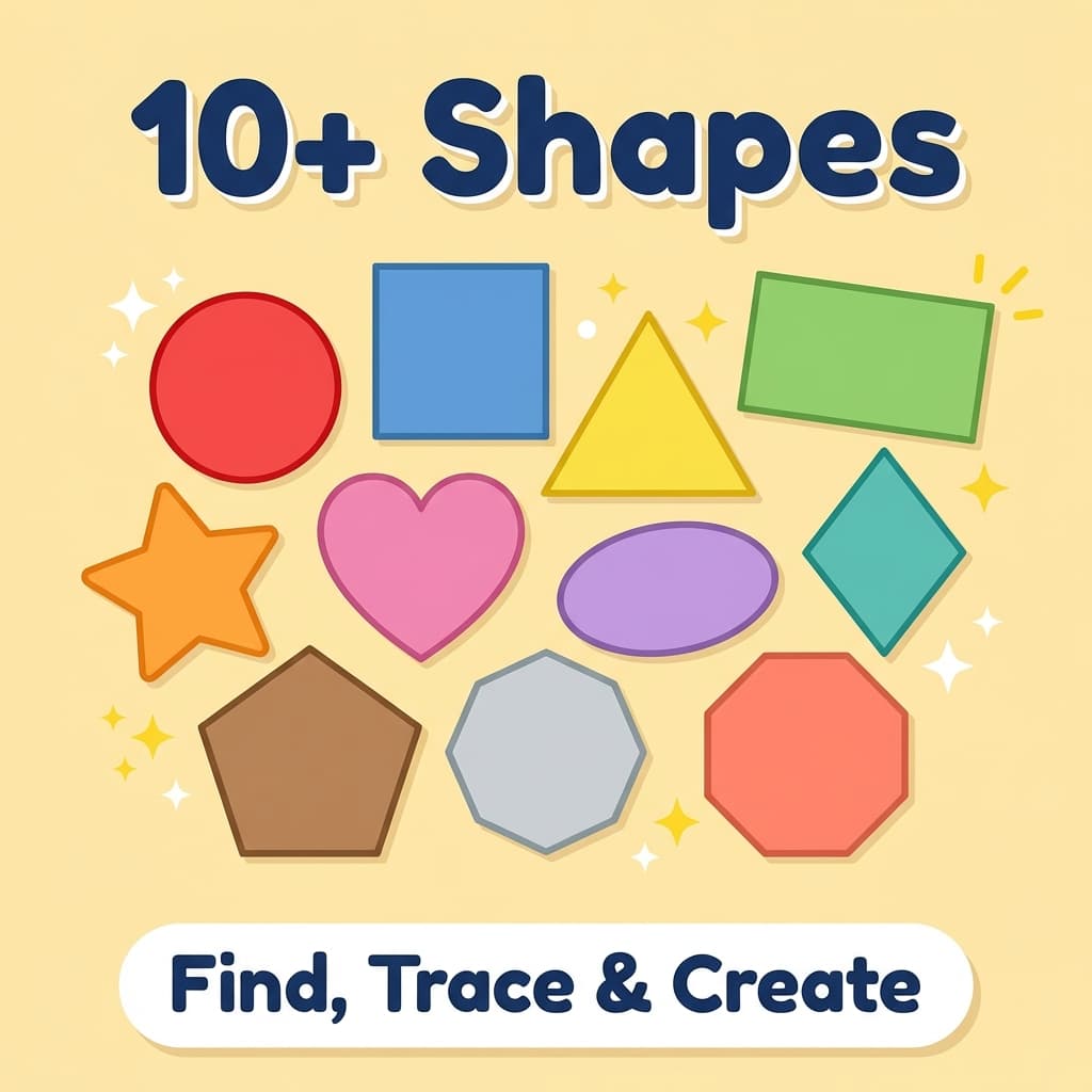 12+ Shapes
